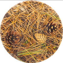 Load image into Gallery viewer, Dynamic Dye-abolical Series DyeMax