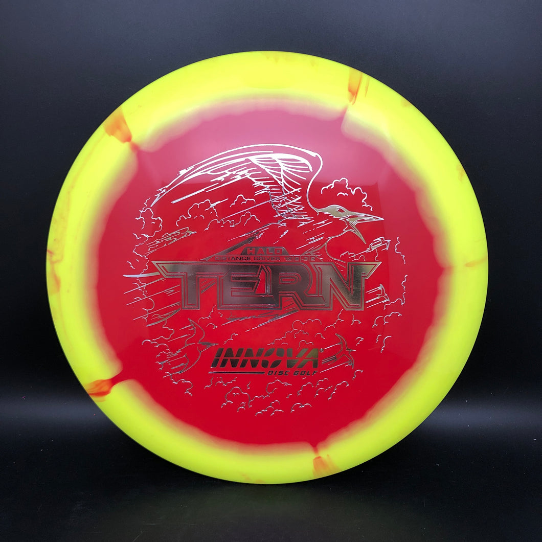 Innova Halo Star Tern - stock