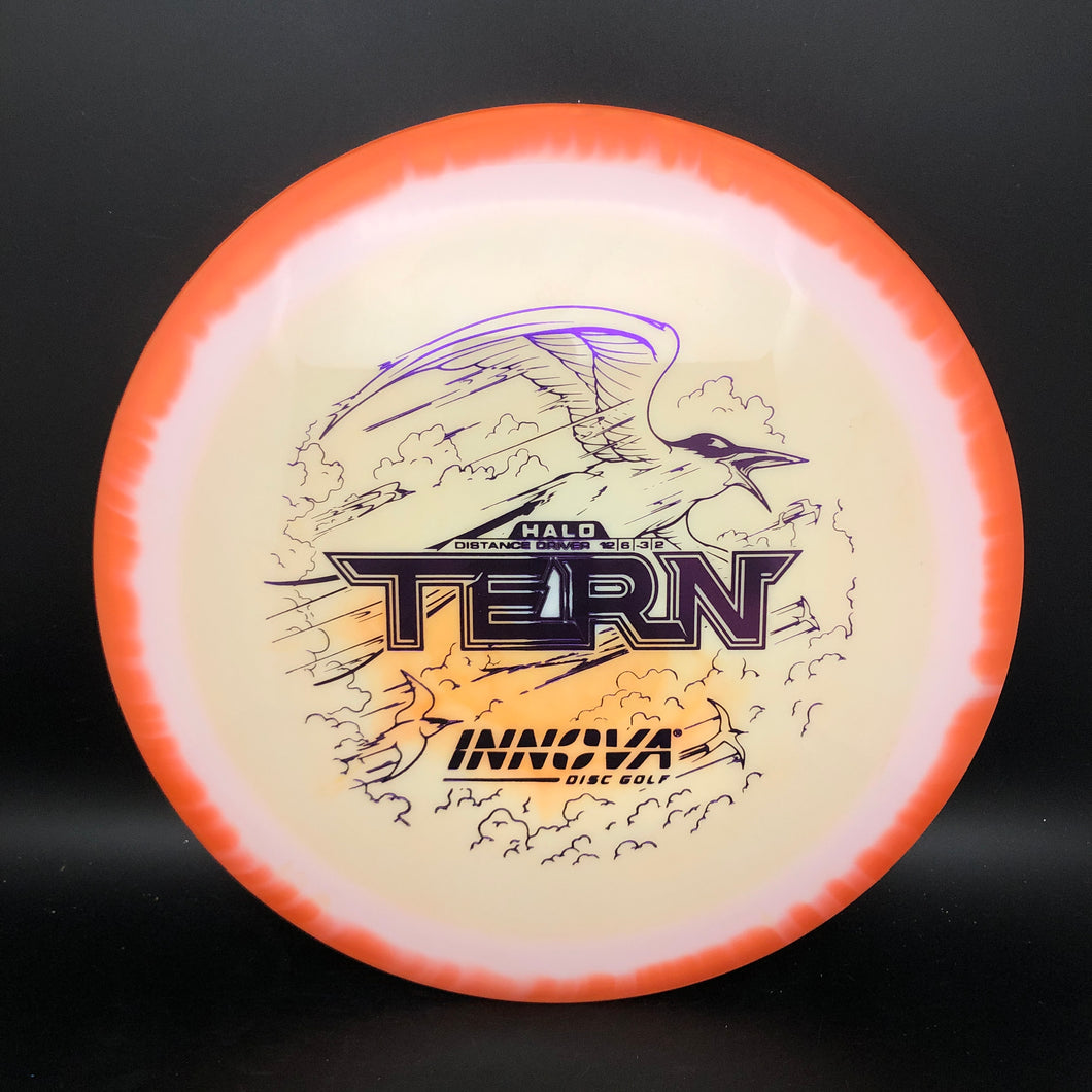 Innova Halo Star Tern - stock